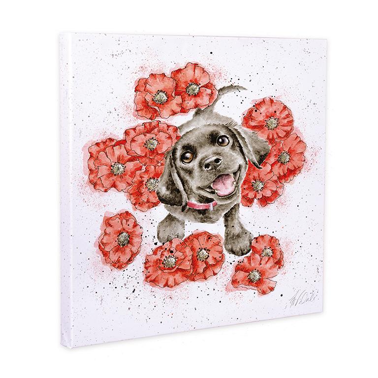 Wrendale Leinwand groß, Aufdruck kleiner Labrador im Mohnblumenfeld, "Poppy Love", 80x80cm