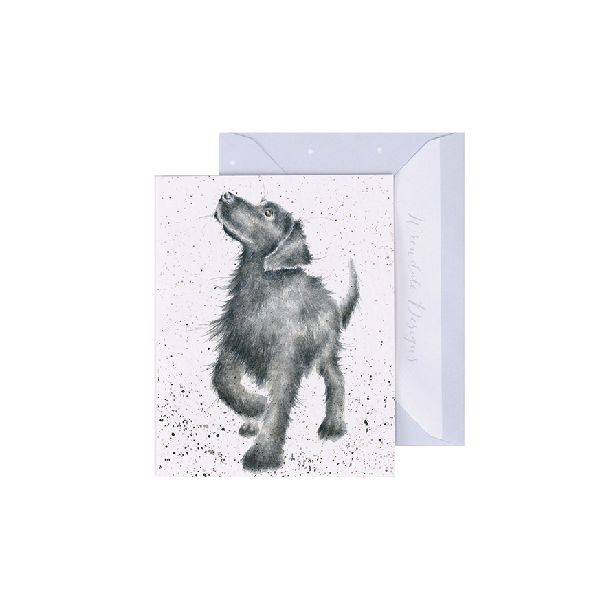 Wrendale Mini-Karte mit Umschlag, Motiv schwarzer Labrador, Walkies