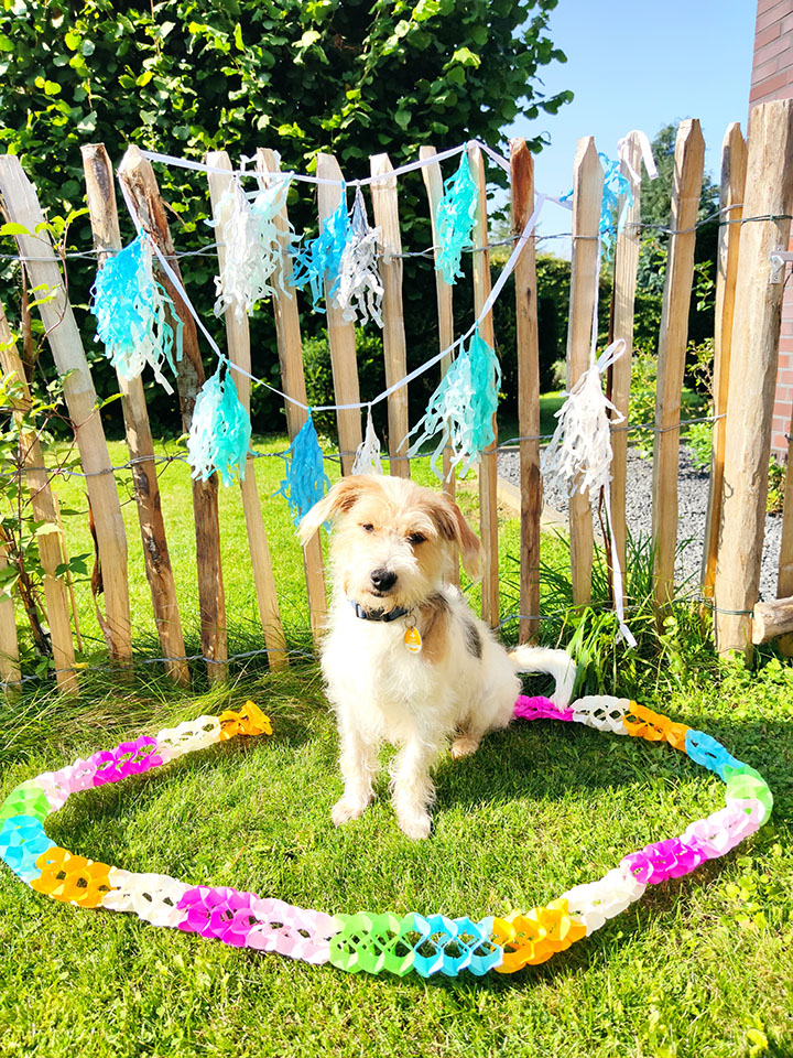 Staketenzaun Englisch mit Hund Geburtstag Staketenzaun Englisch mit Hund Geburtstag