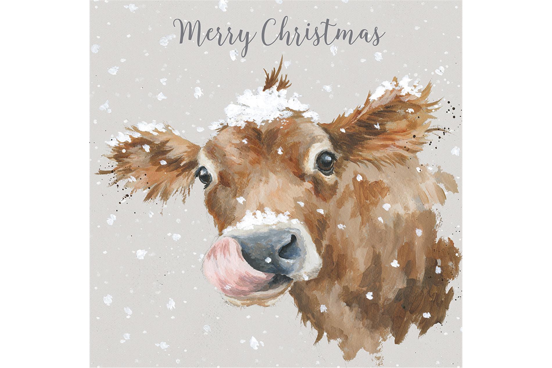 Wrendale Weihnachtskartenbox Merry Christmas, Motiv Kuh, 8 Karten mit Umschlag und Text, 15,5x15,5 cm