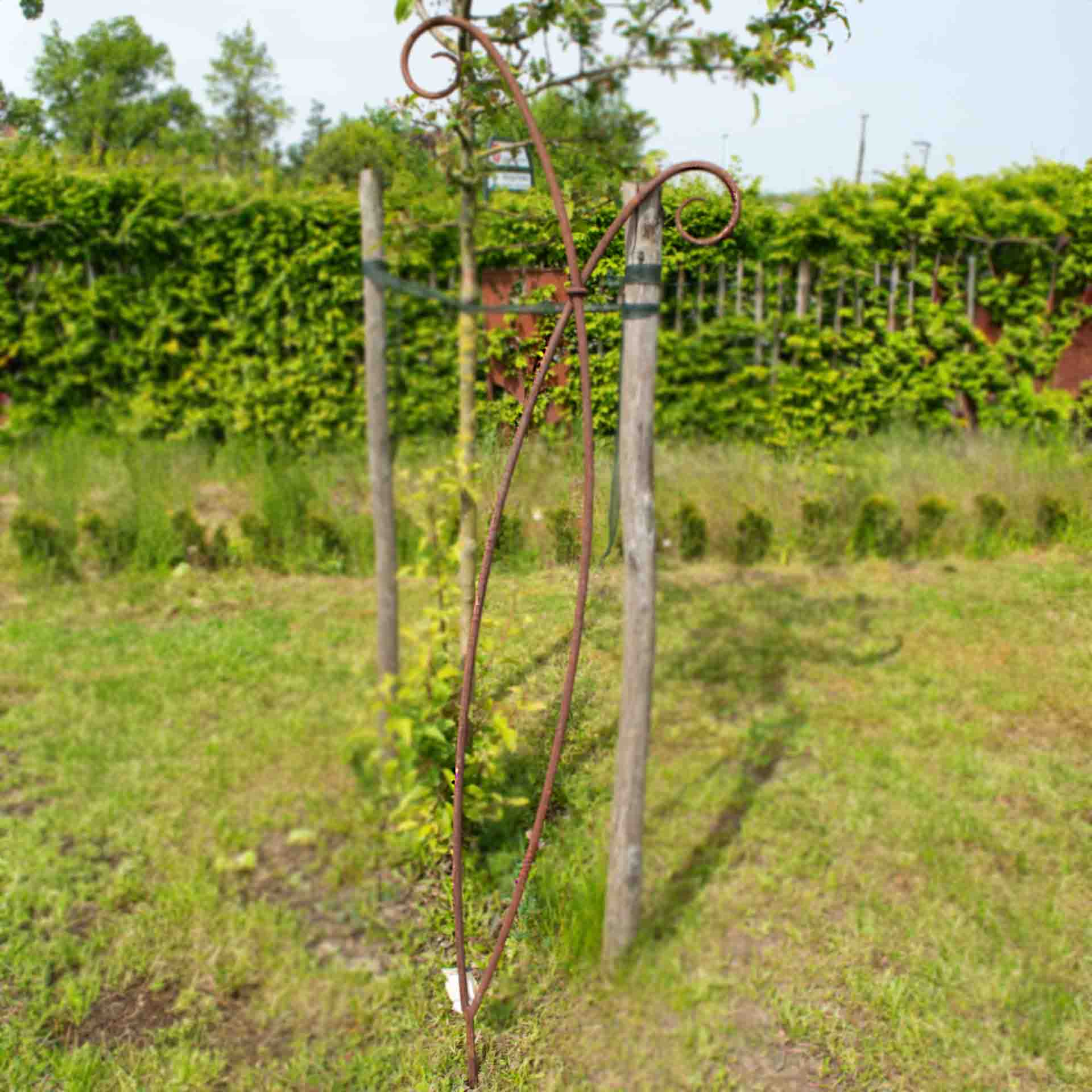 Doppelspirale / Gartenstecker Edelrost, H 200cm, B 60cm