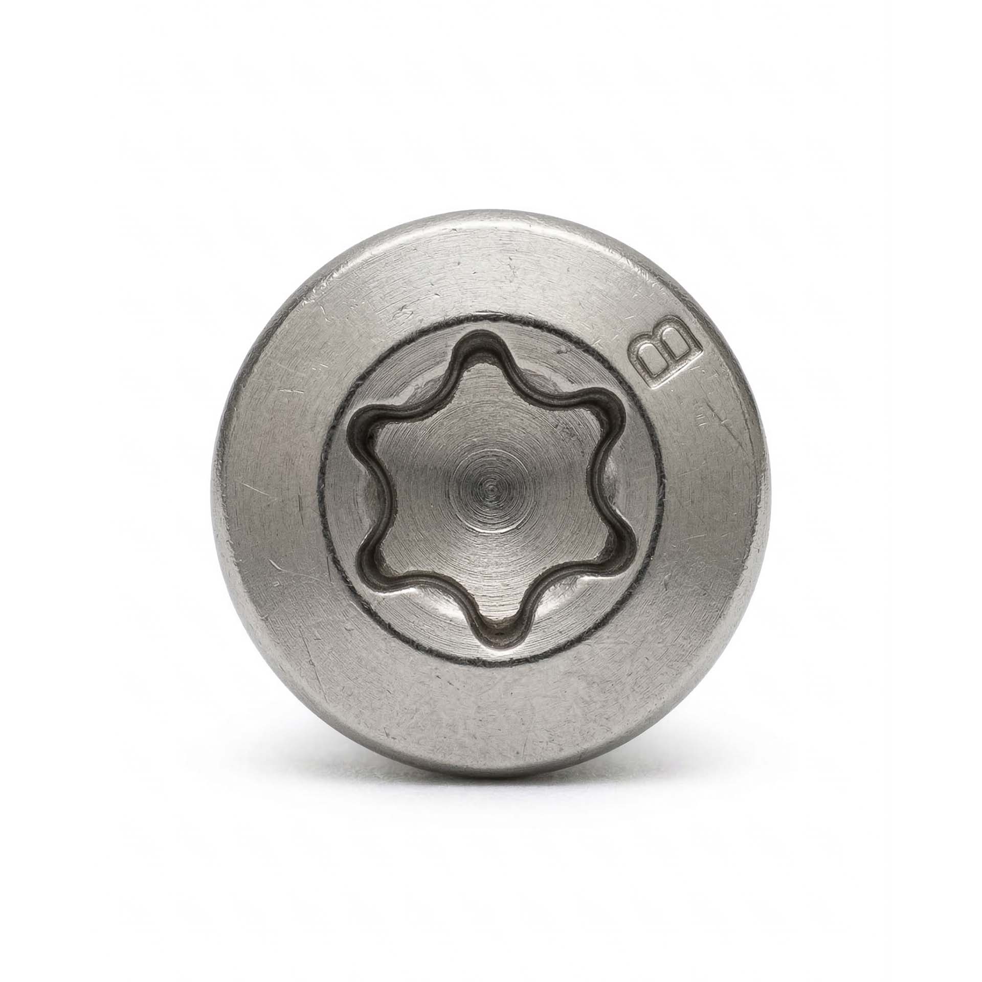 Premium Edelstahlschraube mit Bohrkopf (100 Stück, 5x70mm, Torx) für Polderzaun/Heuvelzaun-Befestigung Premium Edelstahlschraube mit Bohrkopf (100 Stück, 5x70mm, Torx) für Polderzaun/Heuvelzaun-Befestigung