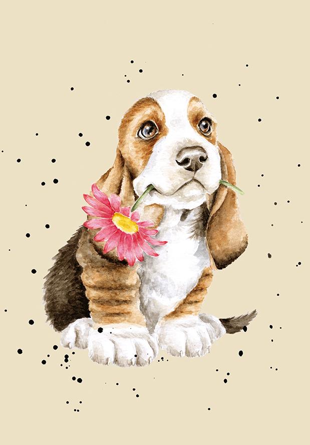 Wrendale notitieboek, DIN A6, motief hond puppy met bloem, Alleen voor jou Wrendale notitieboek, DIN A6, motief hond puppy met bloem, Alleen voor jou