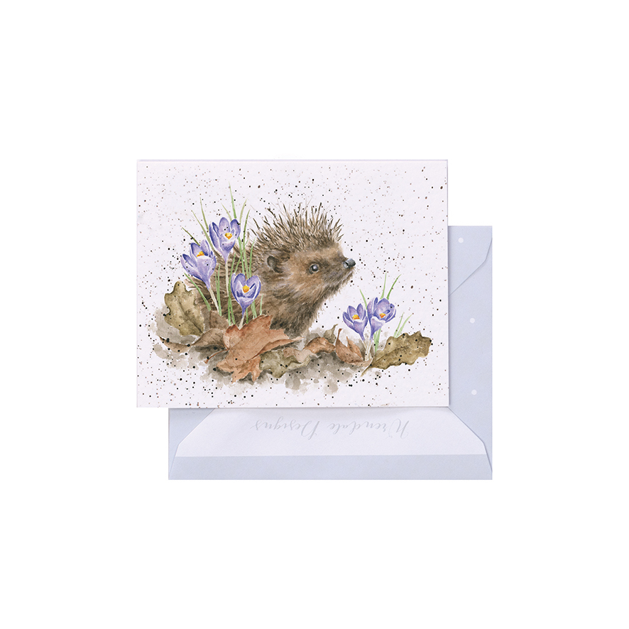 Wrendale Mini-Karte mit Umschlag, Motiv Igel zwischen Blumen, New Beginning