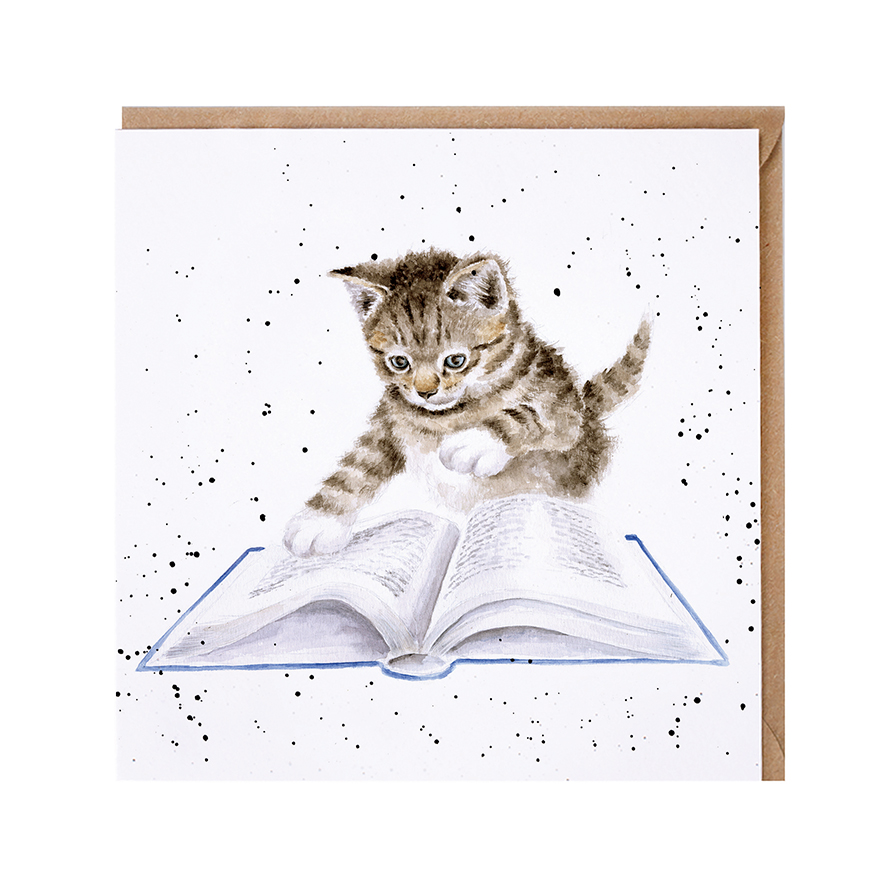 Wrendale Doppelkarte mit Umschlag, Motiv Katze liest ein Buch, " The Bookworm", 15x15 cm