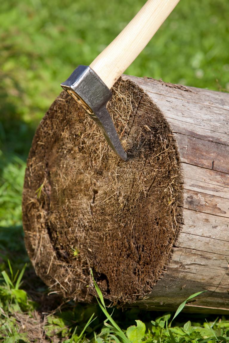 Krumpholz EURO-Sappie 0,95 kg, farblos lackiert mit gef. Eschenstiel, 90 cm Krumpholz EURO-Sappie 0,95 kg, farblos lackiert mit gef. Eschenstiel, 90 cm